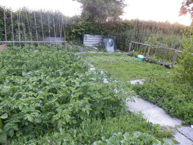 KITCHEN GARDEN